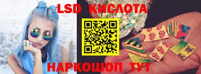 прущие грибы Кингисепп