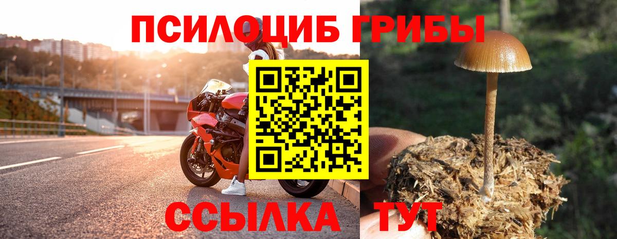 Галлюциногенные грибы MAGIC MUSHROOMS  Вход с VPN  Красноярск 