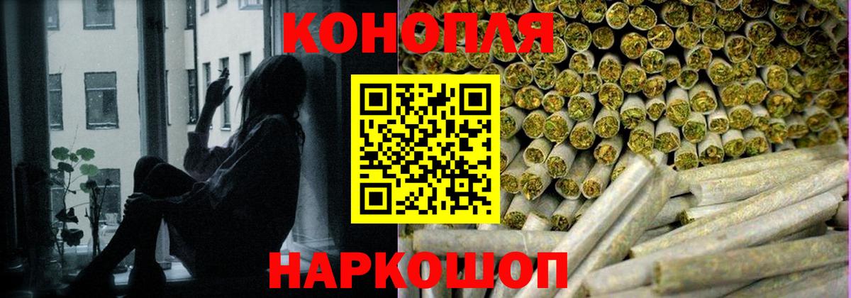 Бошки марихуана конопля Красноярск